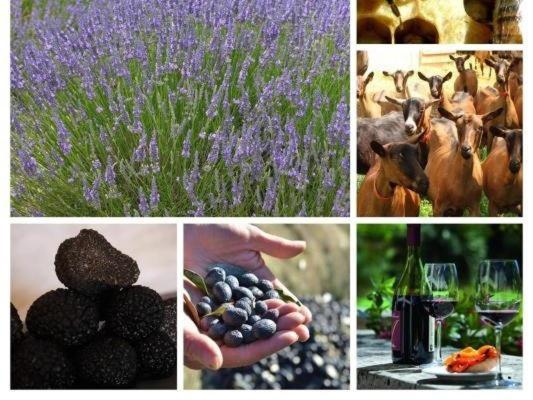 La Ferme Les Eybrachas Hotel Réauville Екстериор снимка